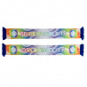 2025 Pride In Our City Scarf