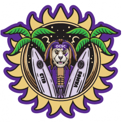 3.14 Patch of the Match